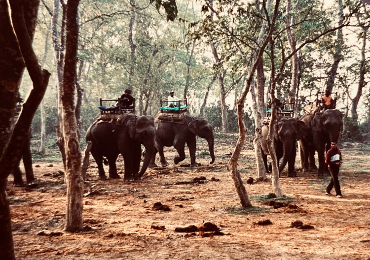 Winds of the Himalaya – Part&nbsp;5