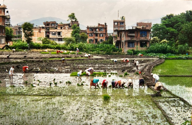 Winds of the Himalaya – Part&nbsp;21